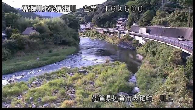 嘉瀬川の見本画像（2026年8月）