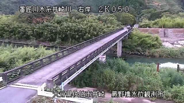 番匠川の見本画像（2026年8月）