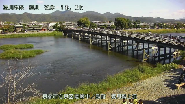 桂川の見本画像（2026年10月）