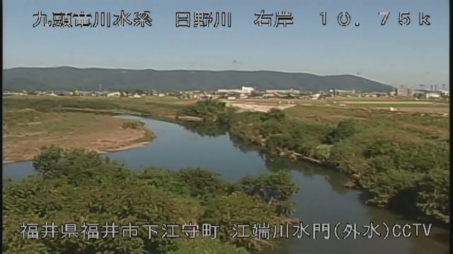 九頭竜川・日野川の見本画像（2026年10月）