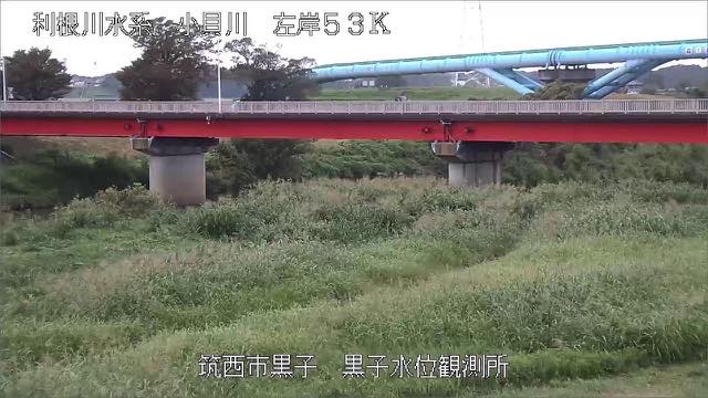 鬼怒川・小貝川の見本画像（2026年9月）