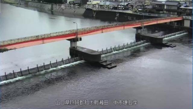 小瀬川 中市堰右岸の見本画像（2026年9月）
